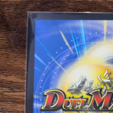 Holy Spirit Psychic King H. Arcadius (Secret Dream Rare Spec.) SE DM1(Secret)/DM1 1枚