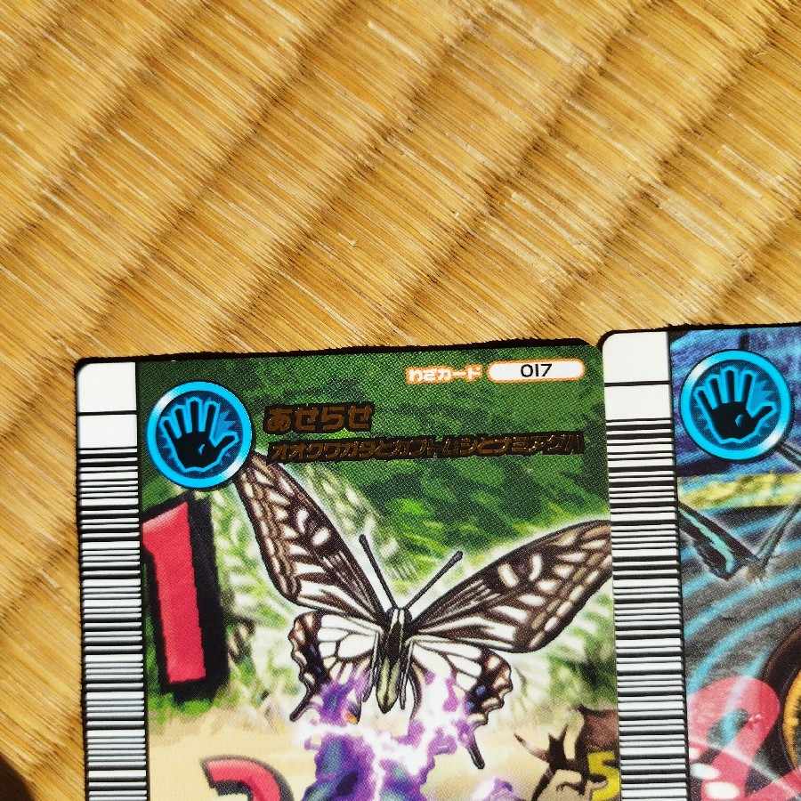 Insect King's 5th Anniversary 1枚