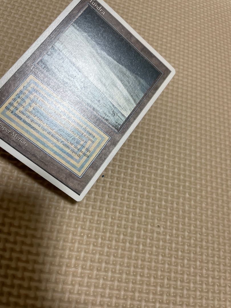 Tundra イタリア語 1枚