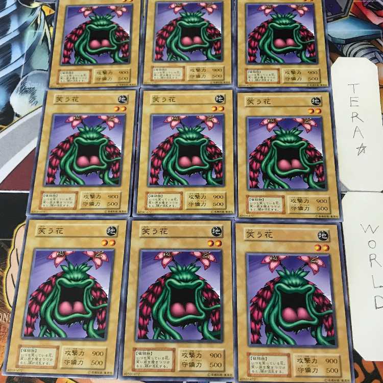 笑う花 1 初期 ノーマル 9枚セット てら 9枚