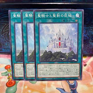 Holy Knight and the Giant Castle of the Holy Sword Normal WPP4-JP063 1枚