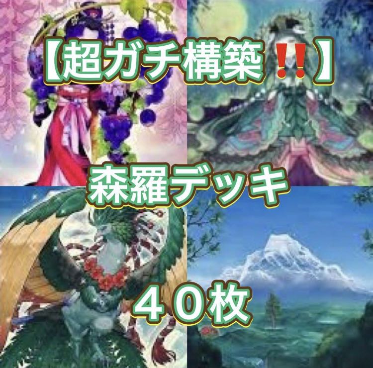 遊戯王【超ガチ構築‼️】森羅デッキ４０枚 遊戯王【超ガチ構築！！】森羅デッキ40枚の通販 メデューサの