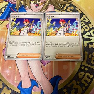 Japanese red pine (Pinus densiflora)