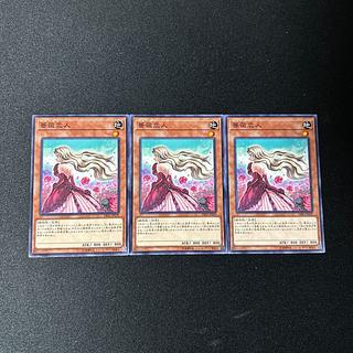 4037 薔薇恋人 ノーマル JP039