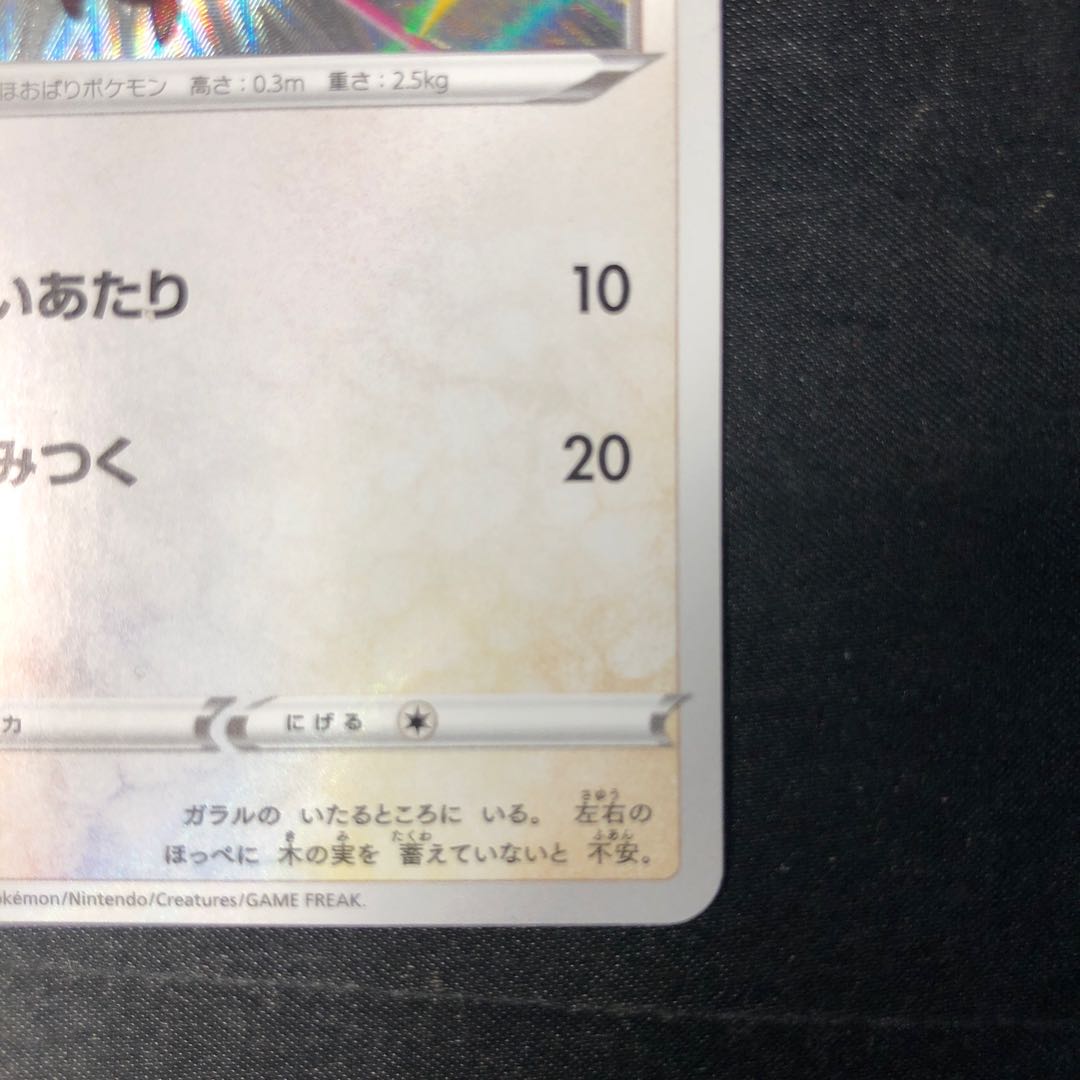 ホシガリス S 298/190 1枚