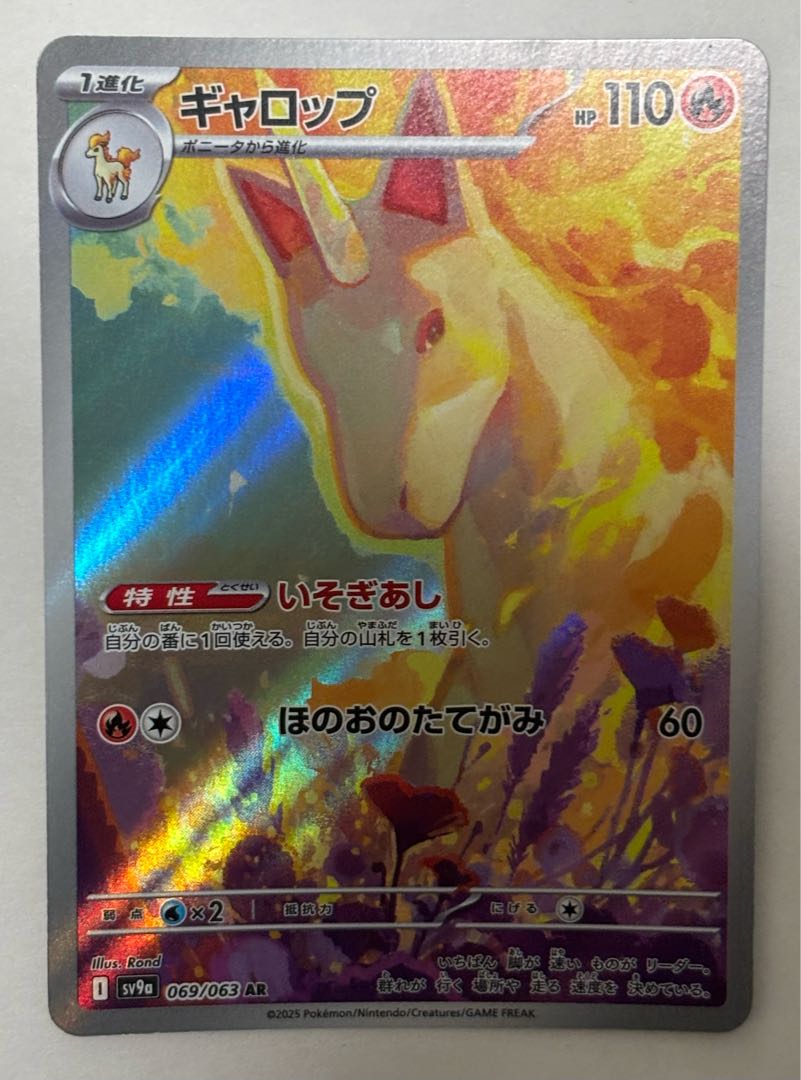 Rapidash AR 1枚