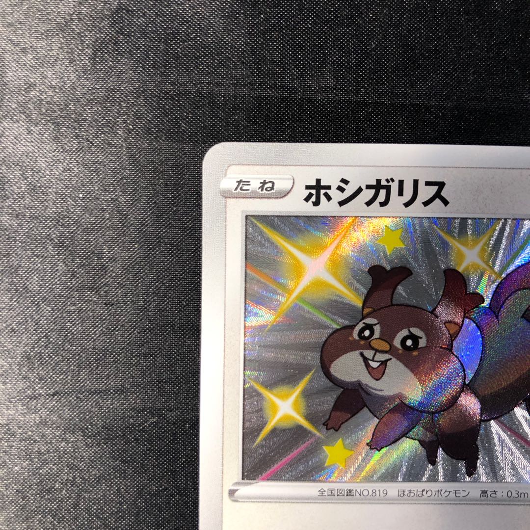 ホシガリス S 298/190 1枚