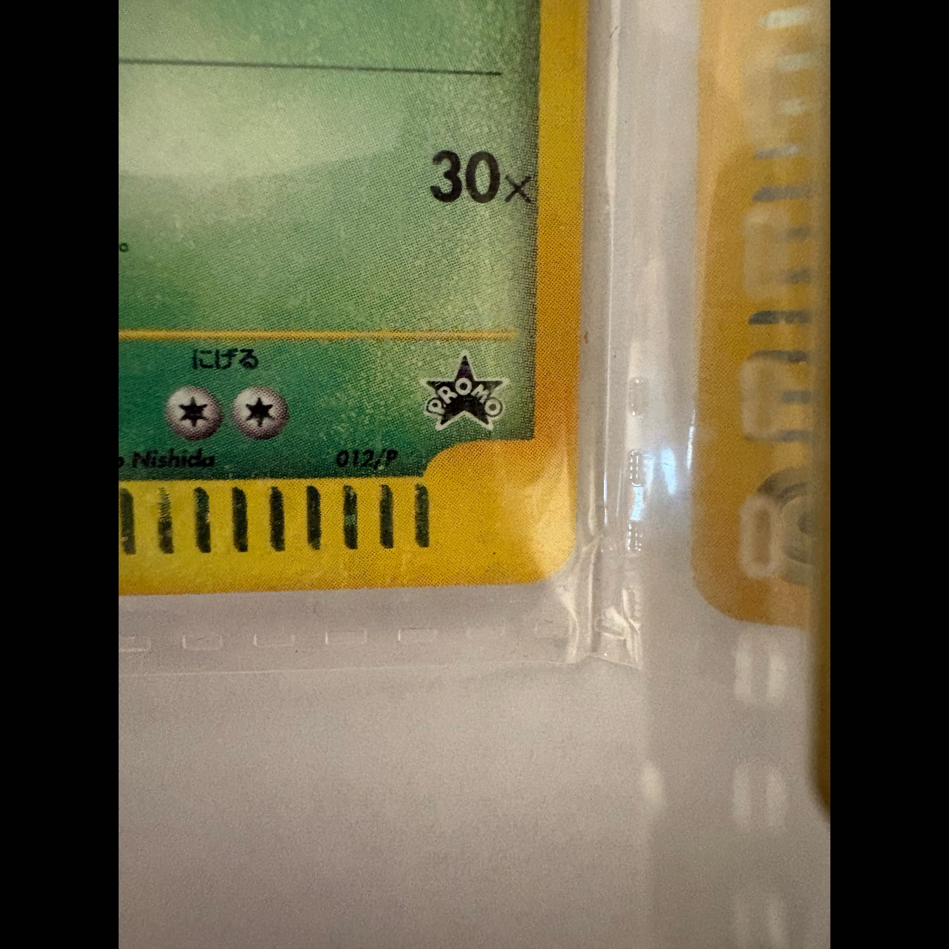 Pokémon Card Triple Get Campaign: First-Generation Starter Pokémon 1枚