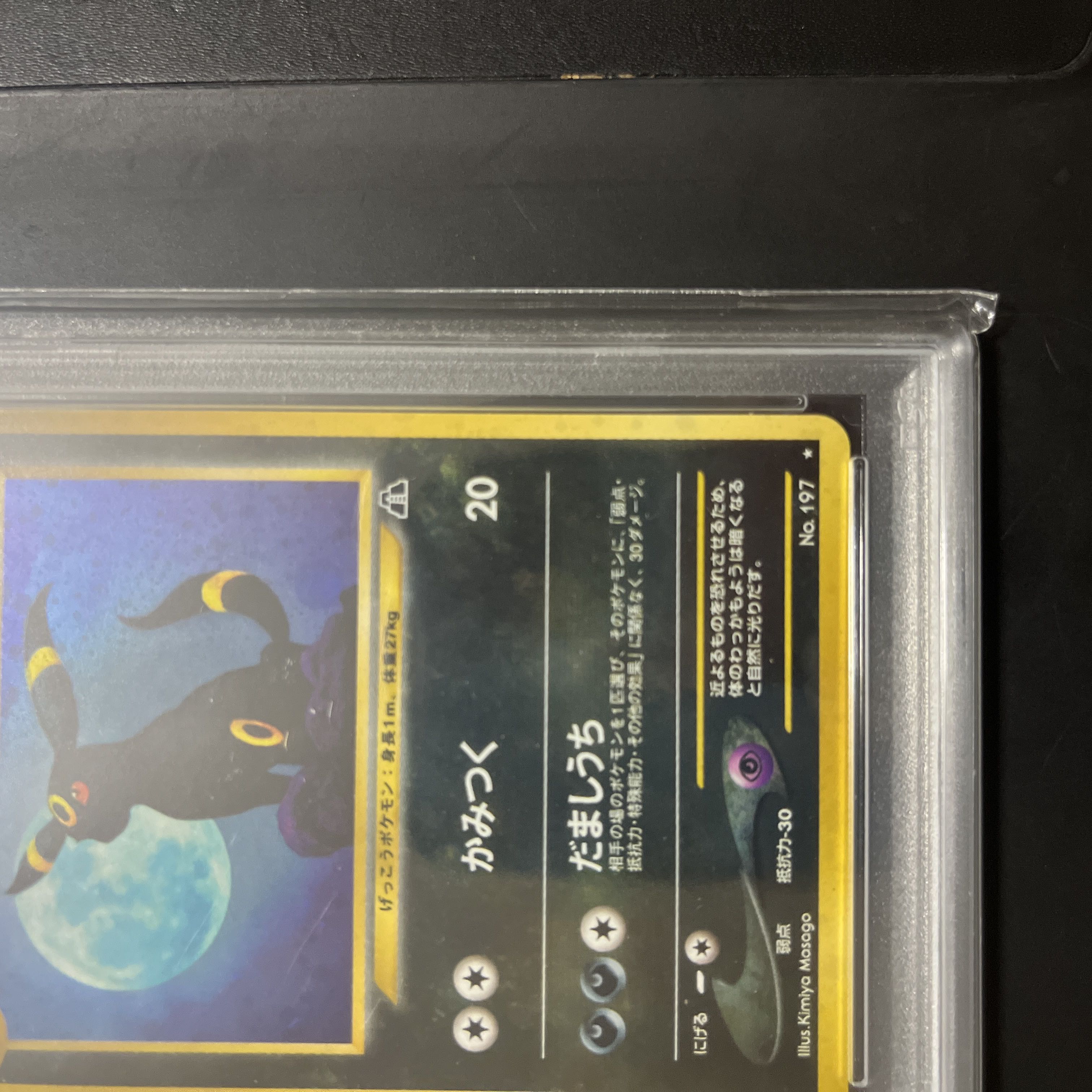 【PSA10】ポケモンカード ブラッキー 旧裏面 Neo