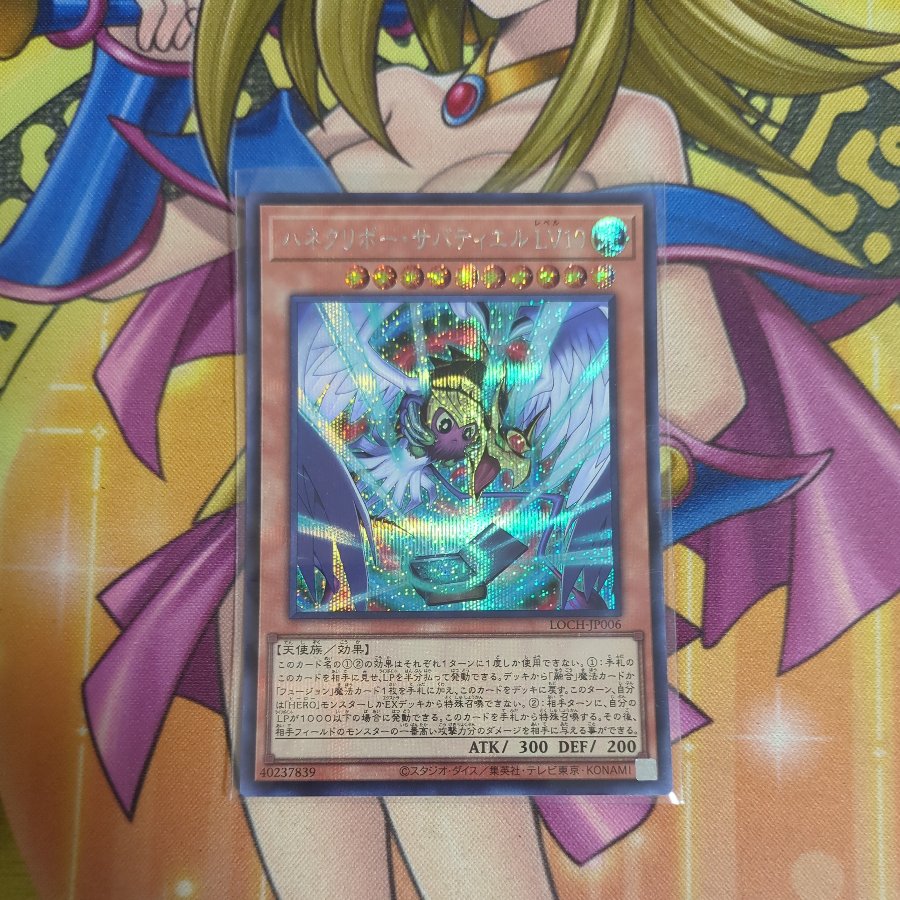 D-HERO Dreadnought Servant – 1 Normal copy
Dark City – 3 Normal copies
Winged Kuriboh · Sabatiel LV 10 – 1 Secret copy 5枚