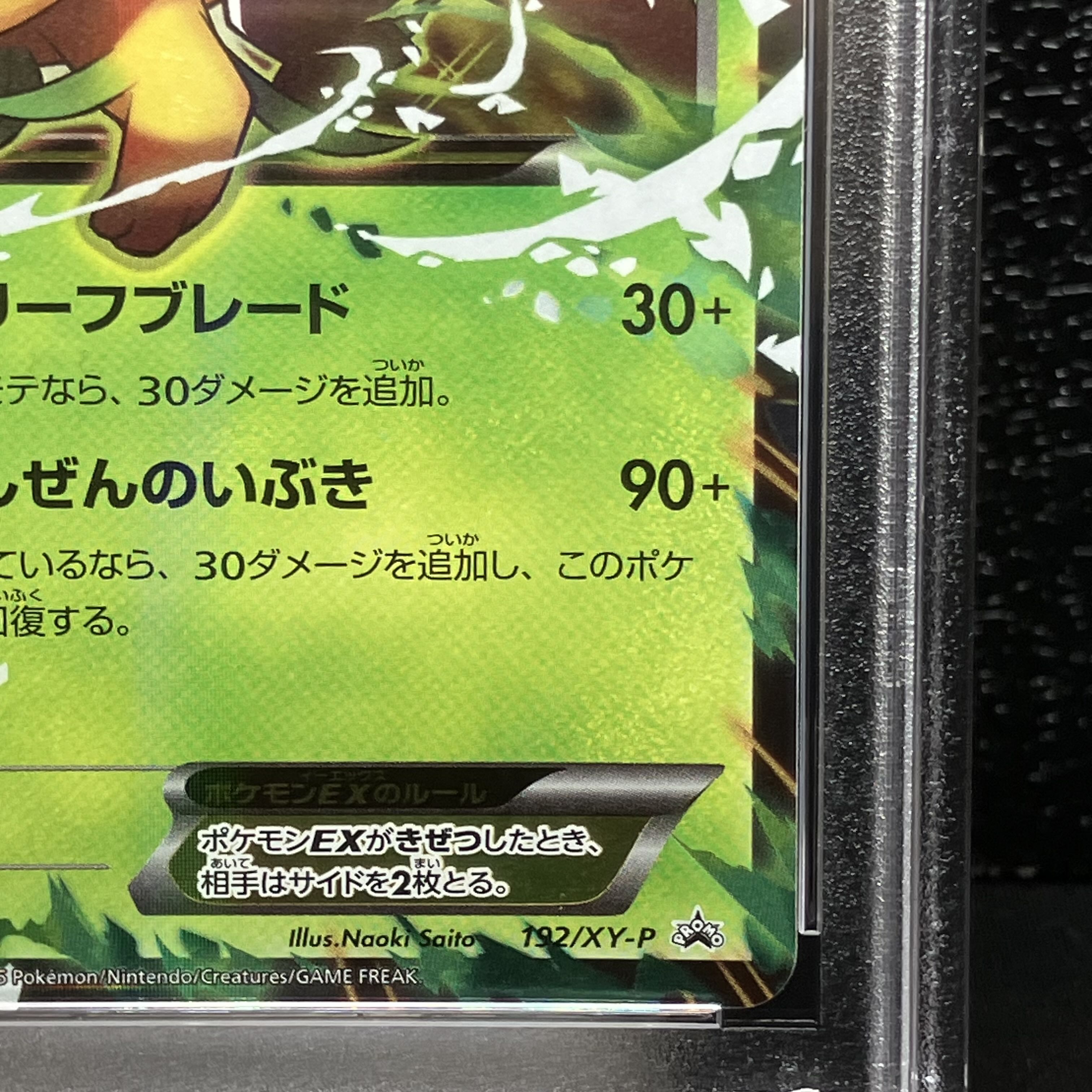 【PSA10】リーフィアEX PROMO 192/XY-P