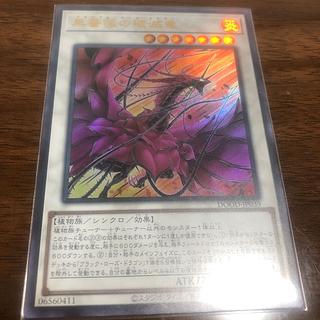 Black Rose Ruination Dragon Ultra Rare DOOD-JP039 1枚