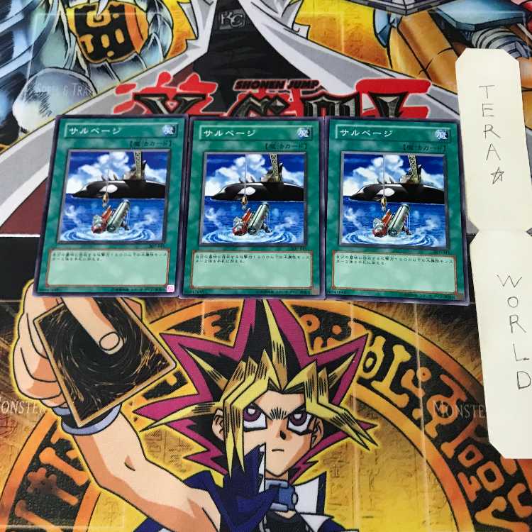 Salvage 307 1 Normal, set of 3 Tera.