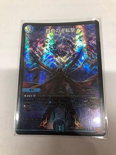 Freedom Reversal Shooting VR 3/76 1枚