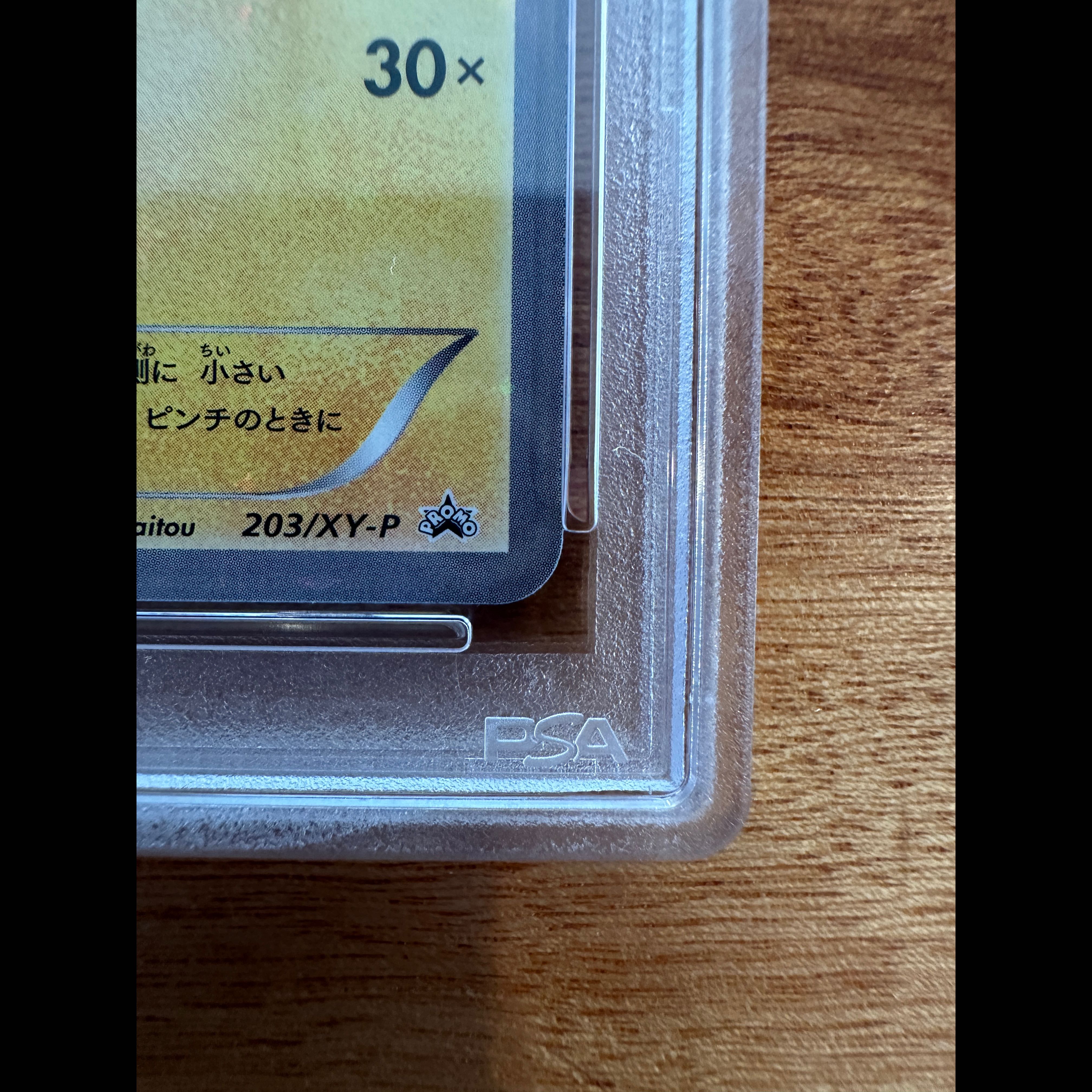 【PSA10】ポンチョを着たピカチュウ PROMO 203/XY-P 1枚
