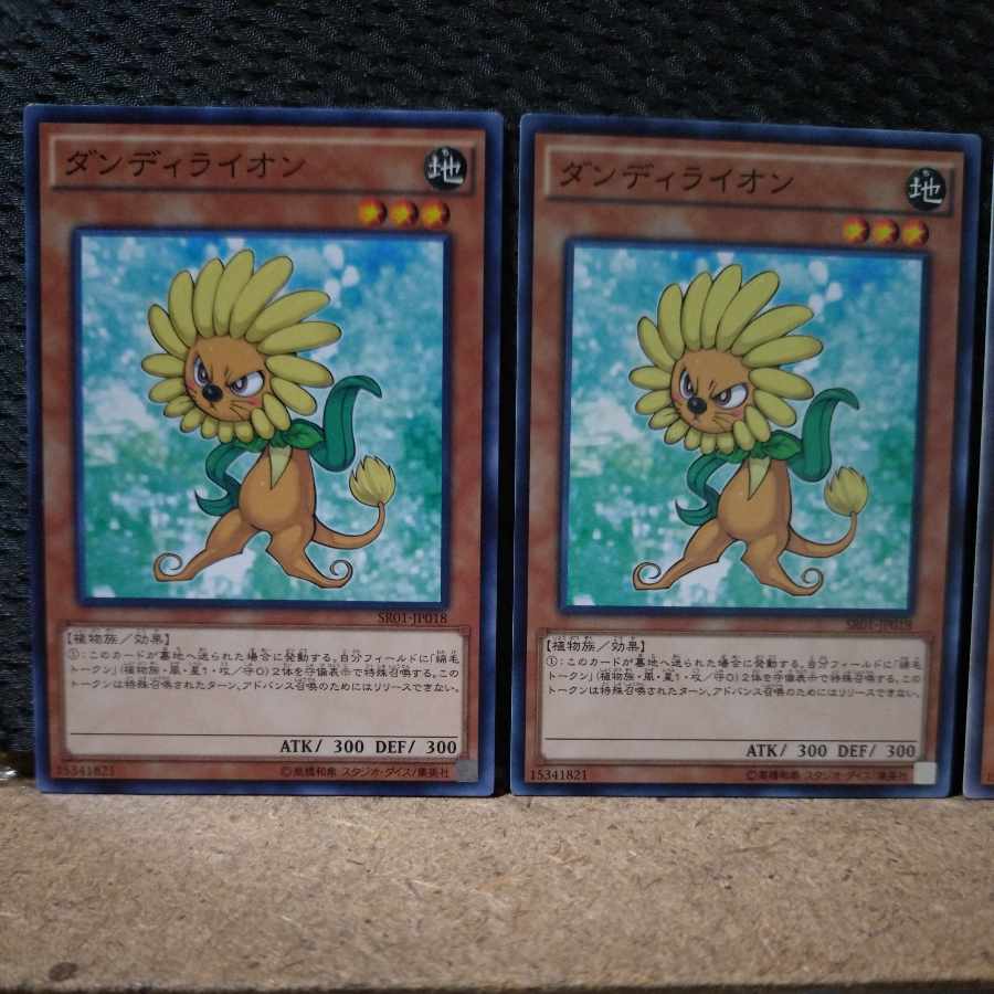 【ぽぽたん】遊戯王  9806  ダンディライオン  ノーマル  ３枚 3枚