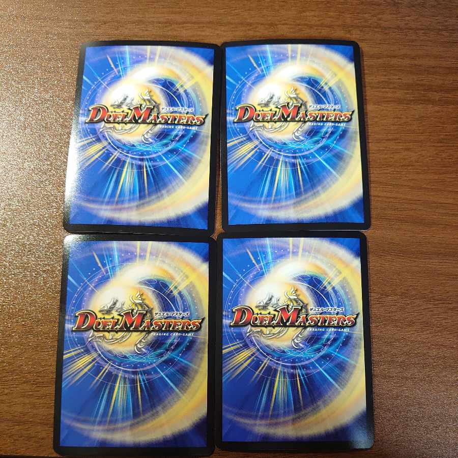 Bolshak Borbalzak SR 1/17 4枚