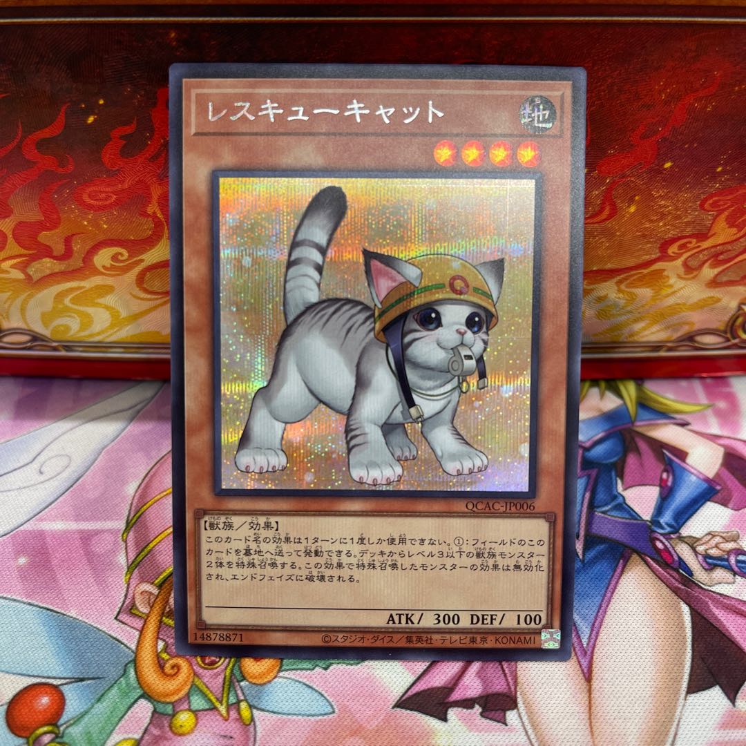 Rescue Cat (different illustration version) Secret Rare QCAC-JP006