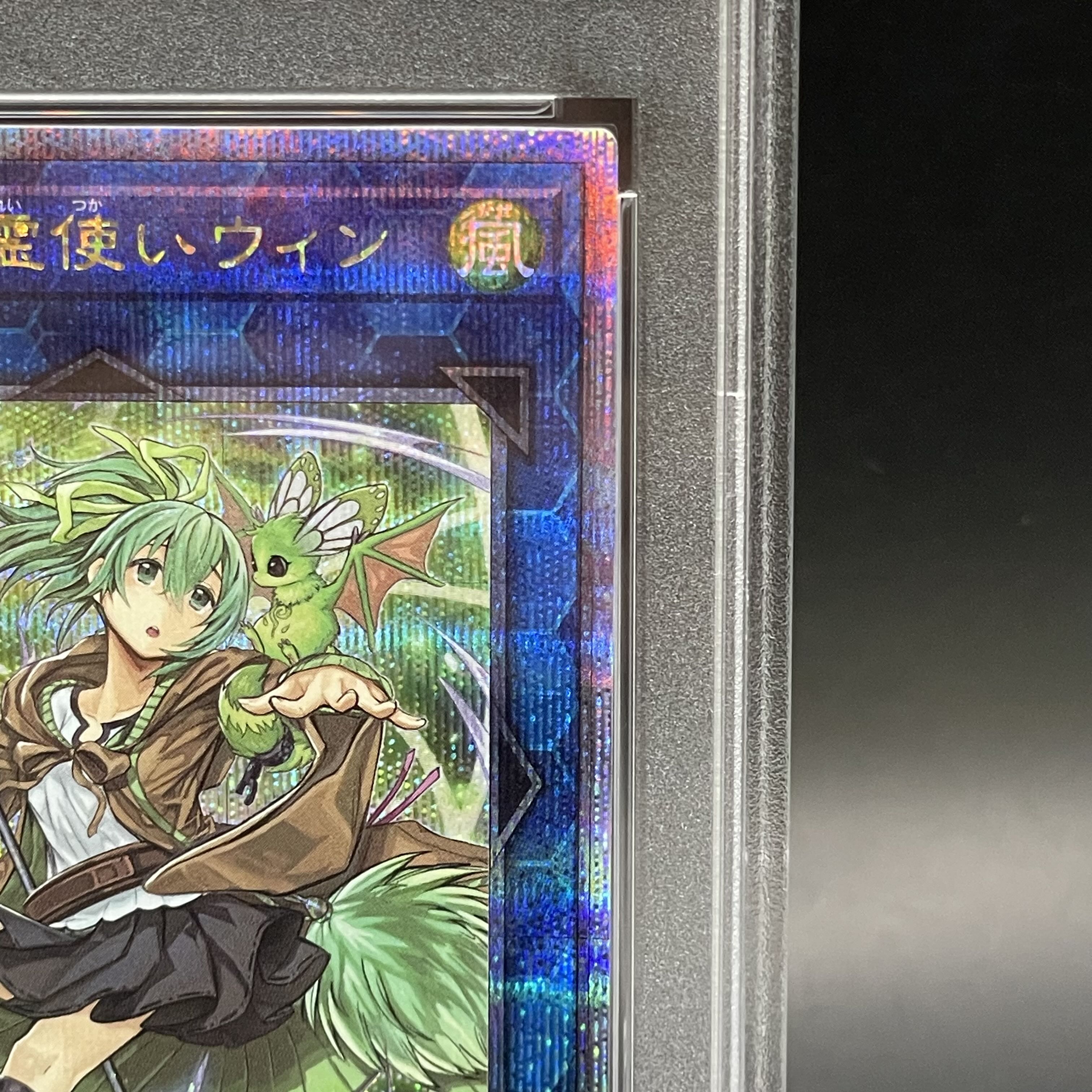 遊戯王 - 【PSA10】蒼翠の風霊使いウィン QCSE・25thシク QCCU-JP188 PSA10】蒼翠の風霊使いウィン QCSE・25thシク QCCU-JP188 (Used