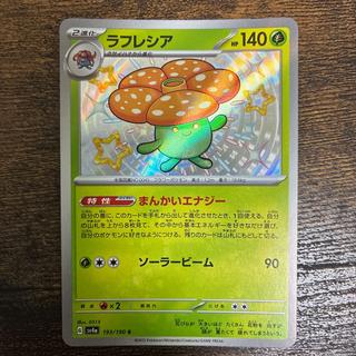 ラフレシア S 193/190 1枚