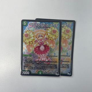 Cheer Scarlet Whitney SR S8/S8