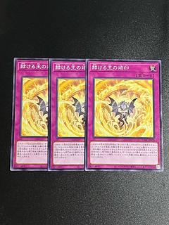 Yu-Gi-Oh Studio 3 copies Brand of the Brilliant King Normal JP070