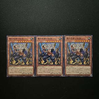 2961 重の忍者-磁翁 ノーマル JP017