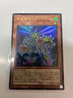 捕食植物ビブリスプ