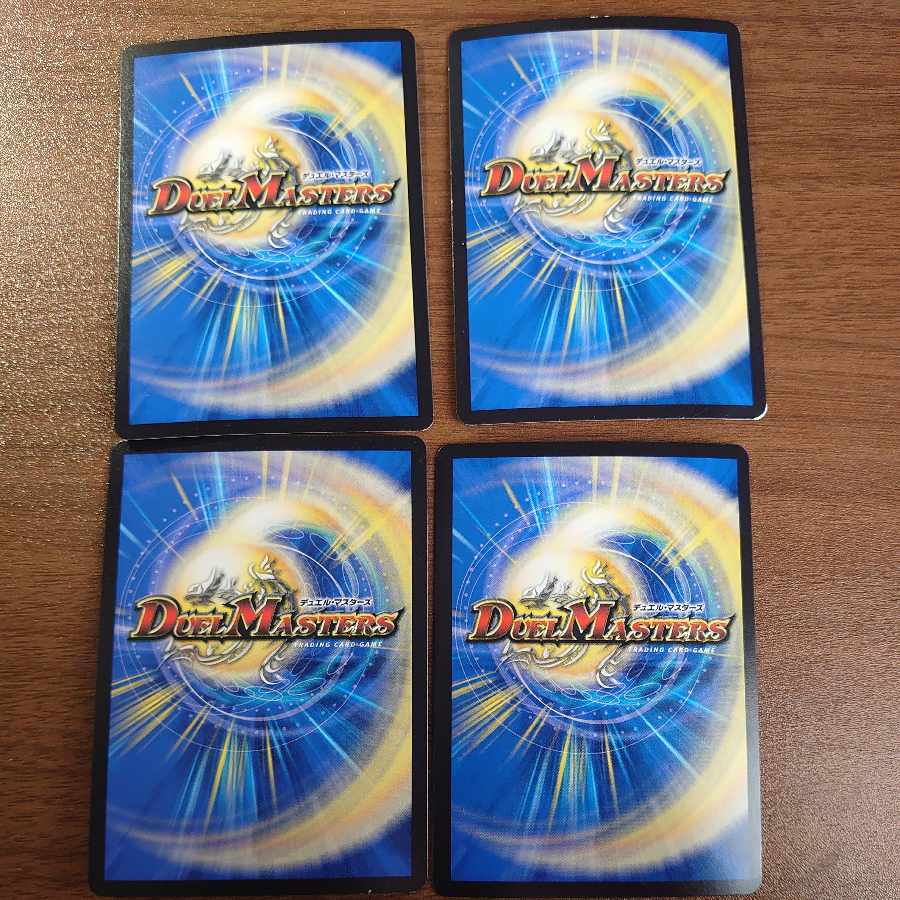 Disカルセ・ドニー VR 11/95