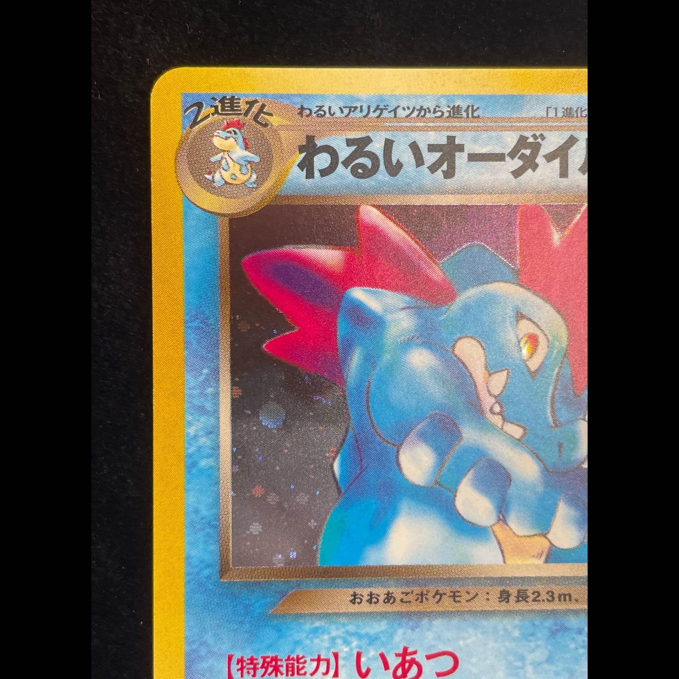 Evil Feraligatr, Kira, Old Back Cover ★ 1枚