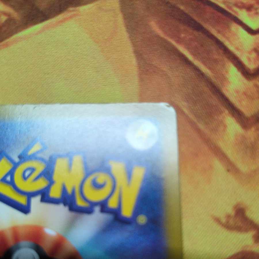 カキツバタ SAR 229/187