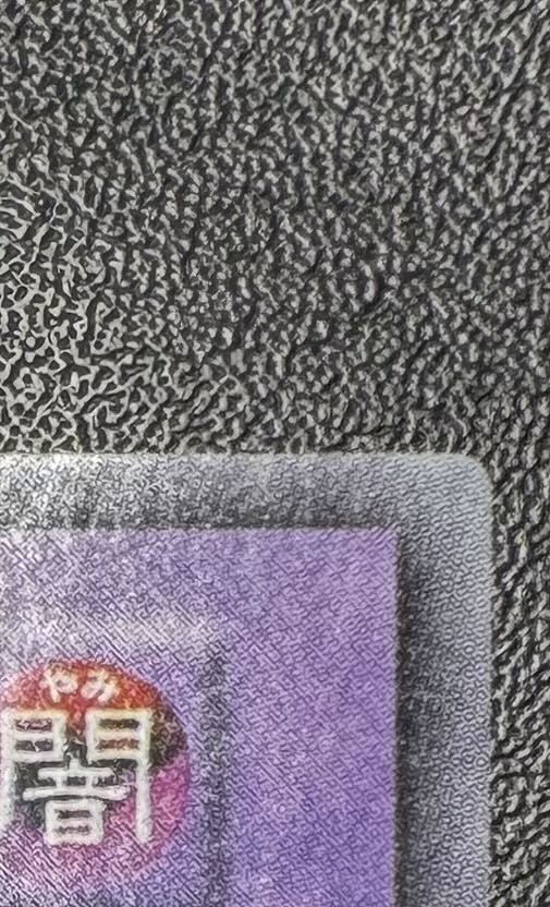 Black Demon's Dragon / Dragon Family / Yu-Gi-Oh / Early Ultra Rare 1枚