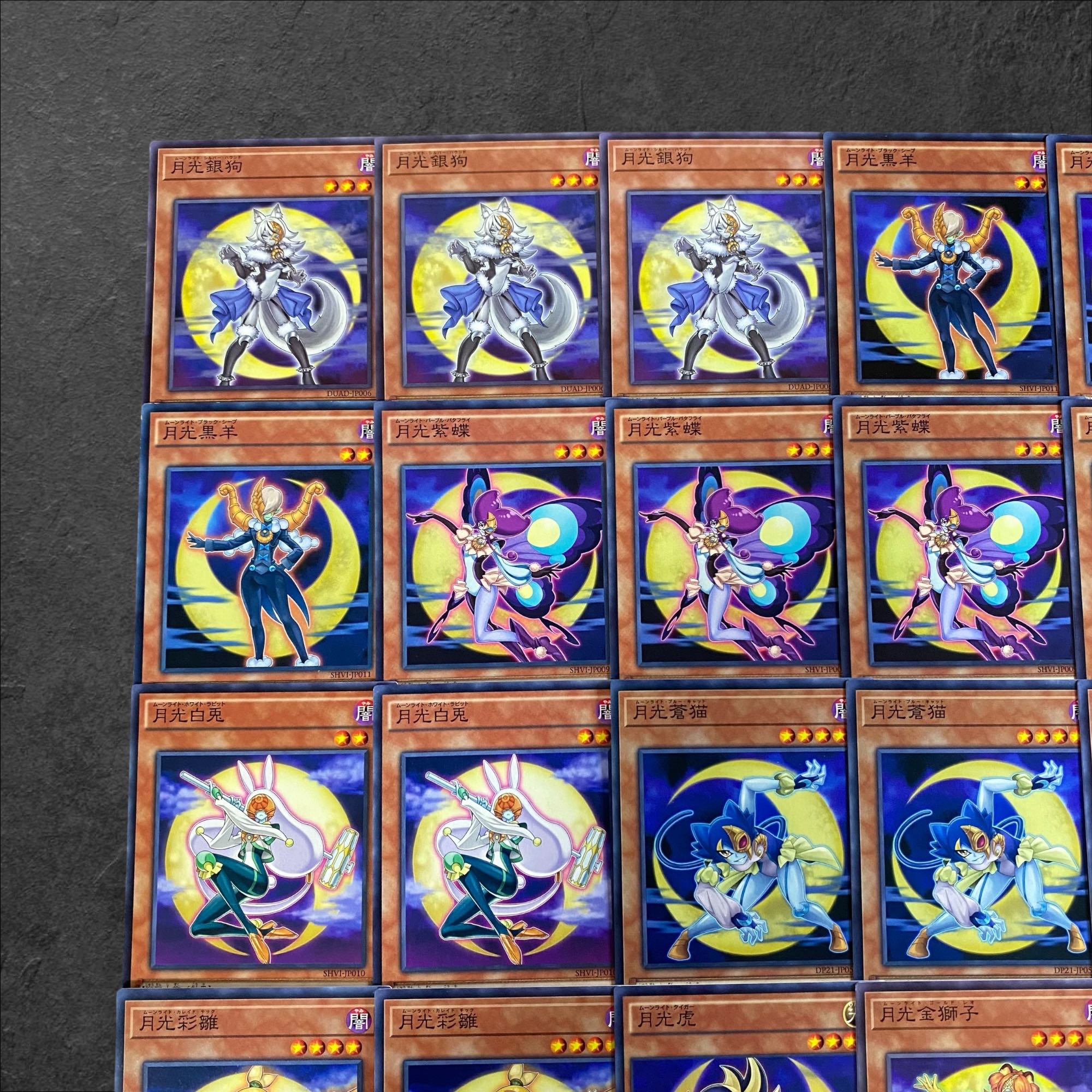 A205 [Yu-Gi-Oh!] Gekko Deck Parts, set of 28