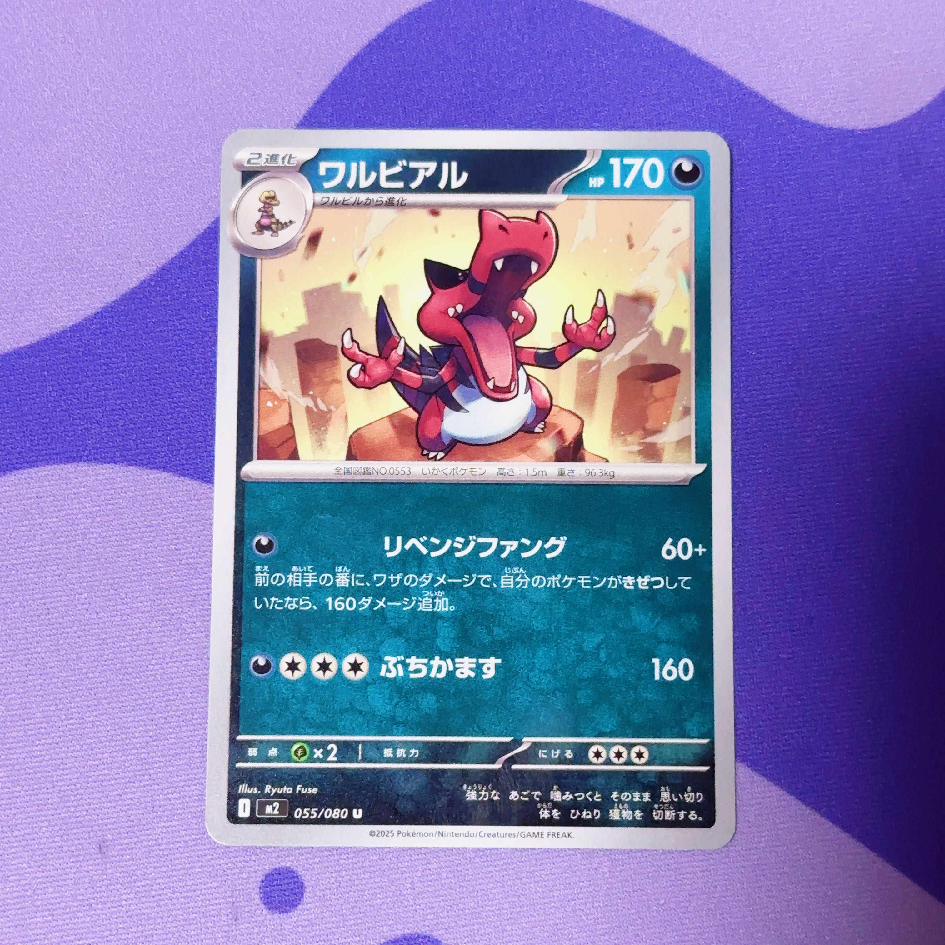 Krookodile U 055/080