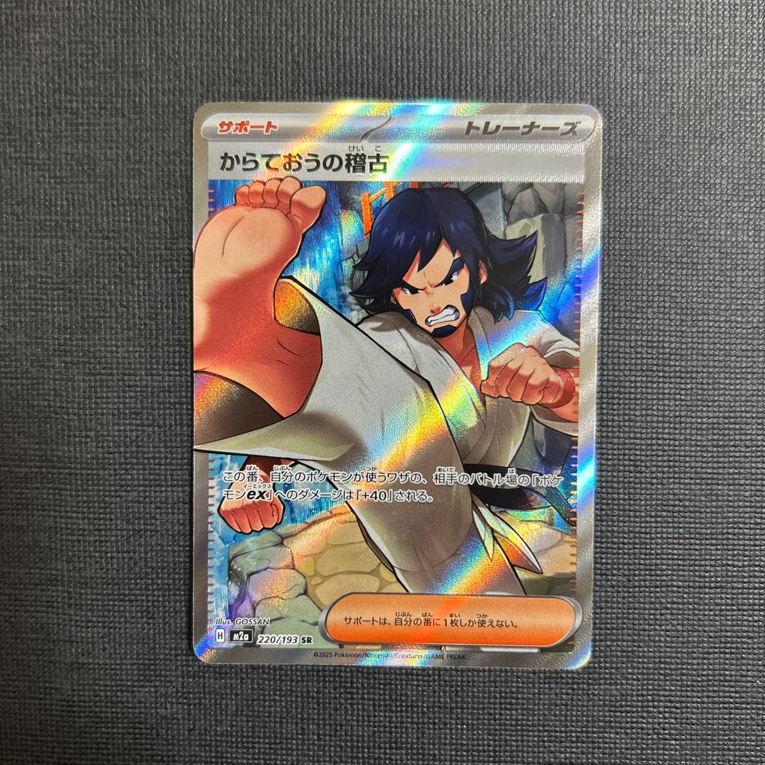 からておうの稽古 SR 220/193