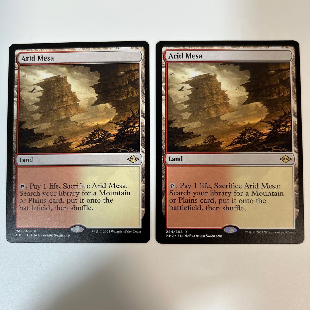 MTG Arid Mesa MH2 English version, beautiful, set of 2 2枚