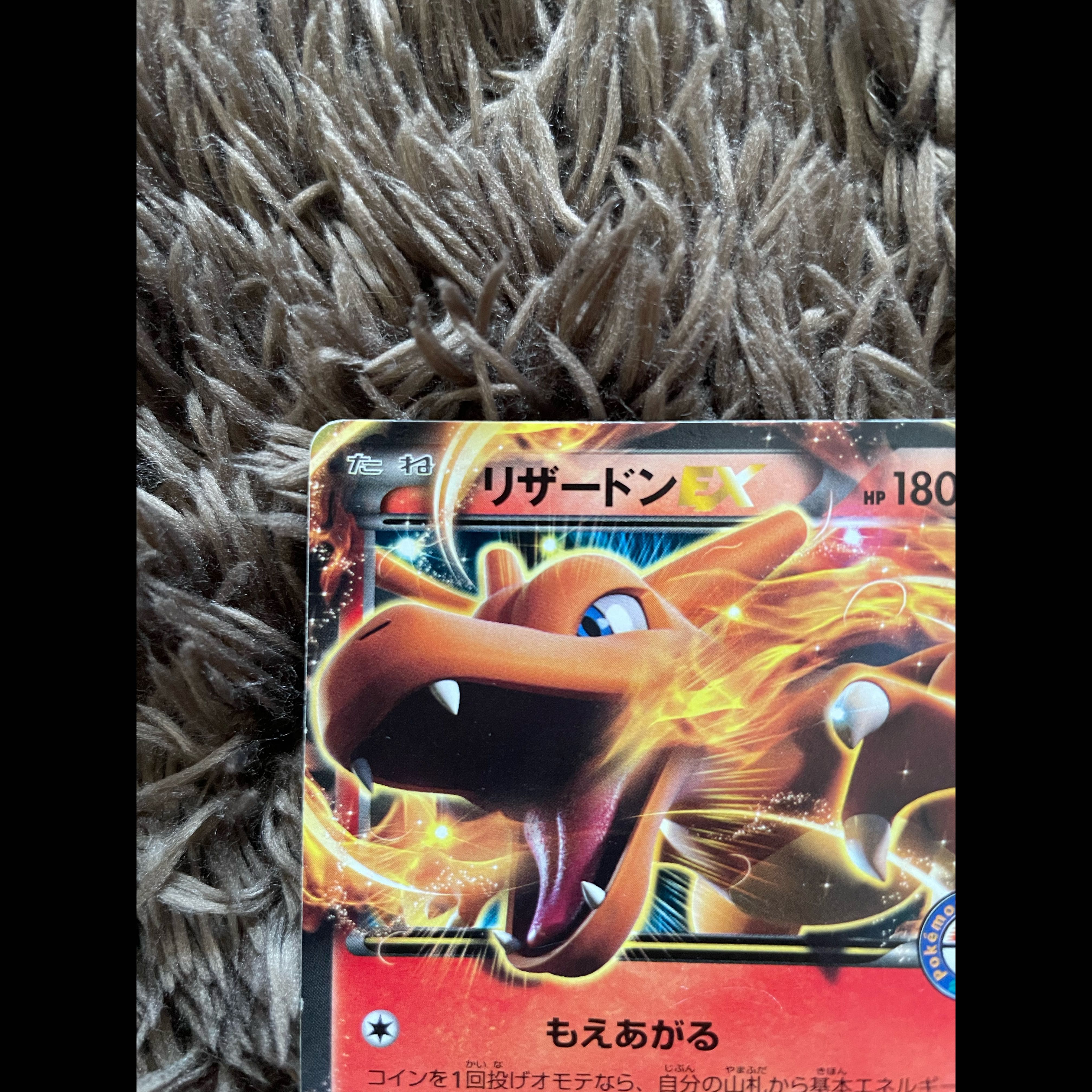リザードンEX PROMO 075/XY-P 1枚