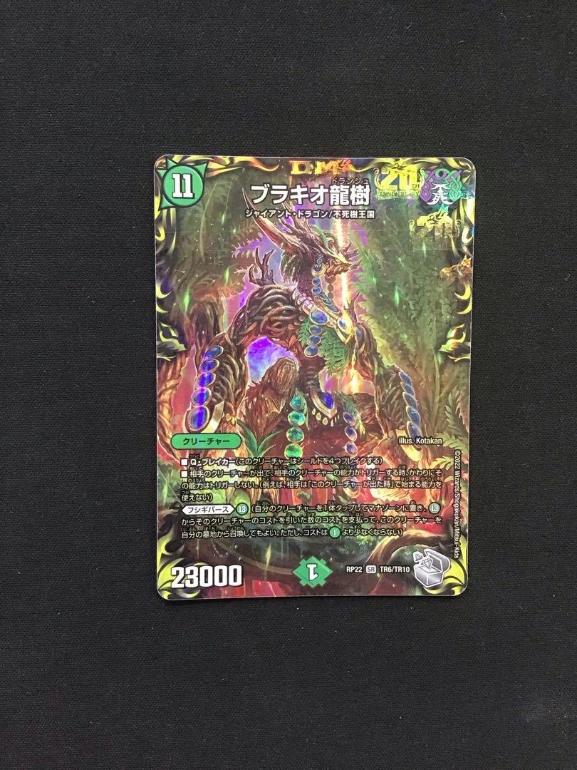 ブラキオ龍樹(TR6/TR10)