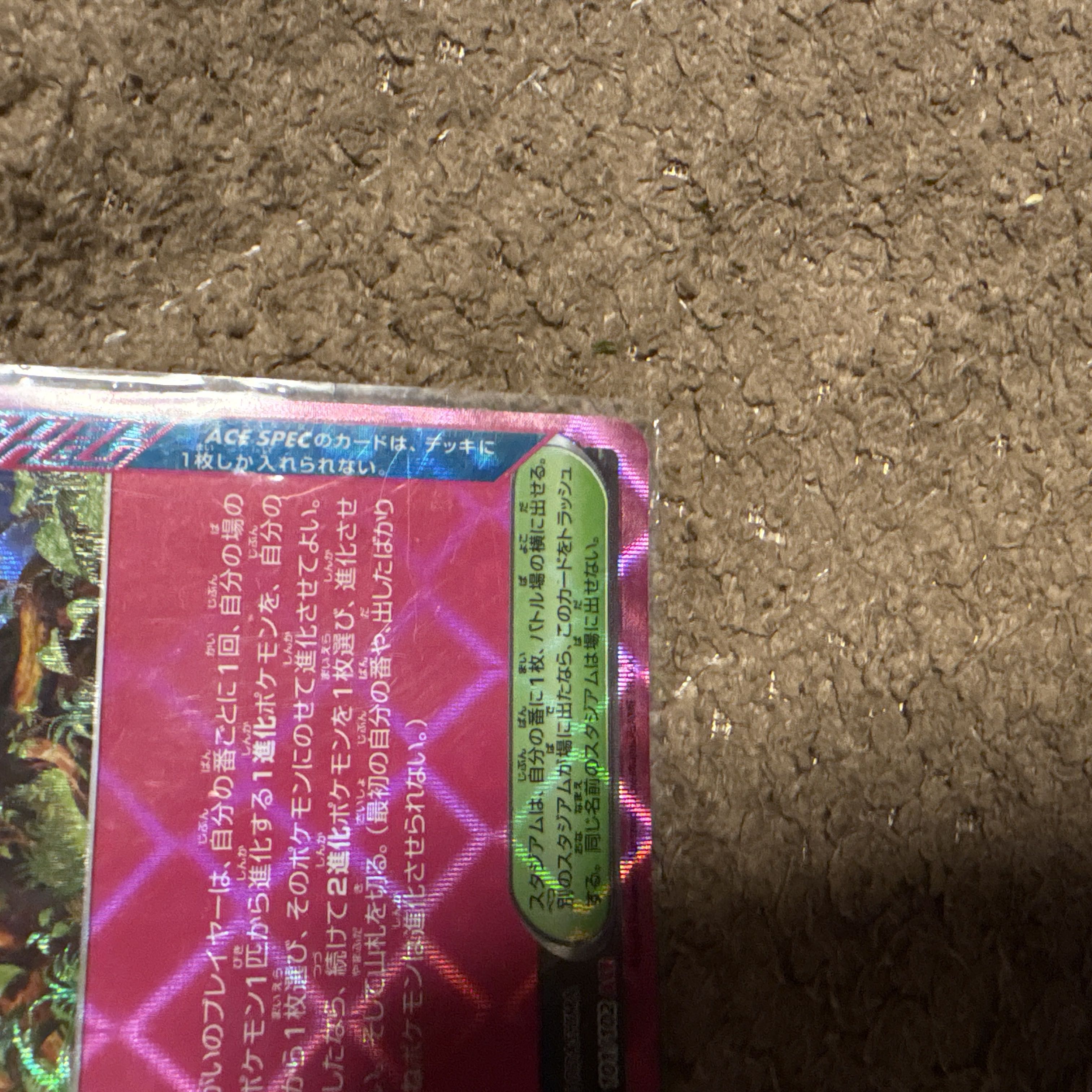 The Great Big Tree ACE 101/102