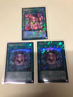 Recover Parallel Ultrelea TW02-JP004