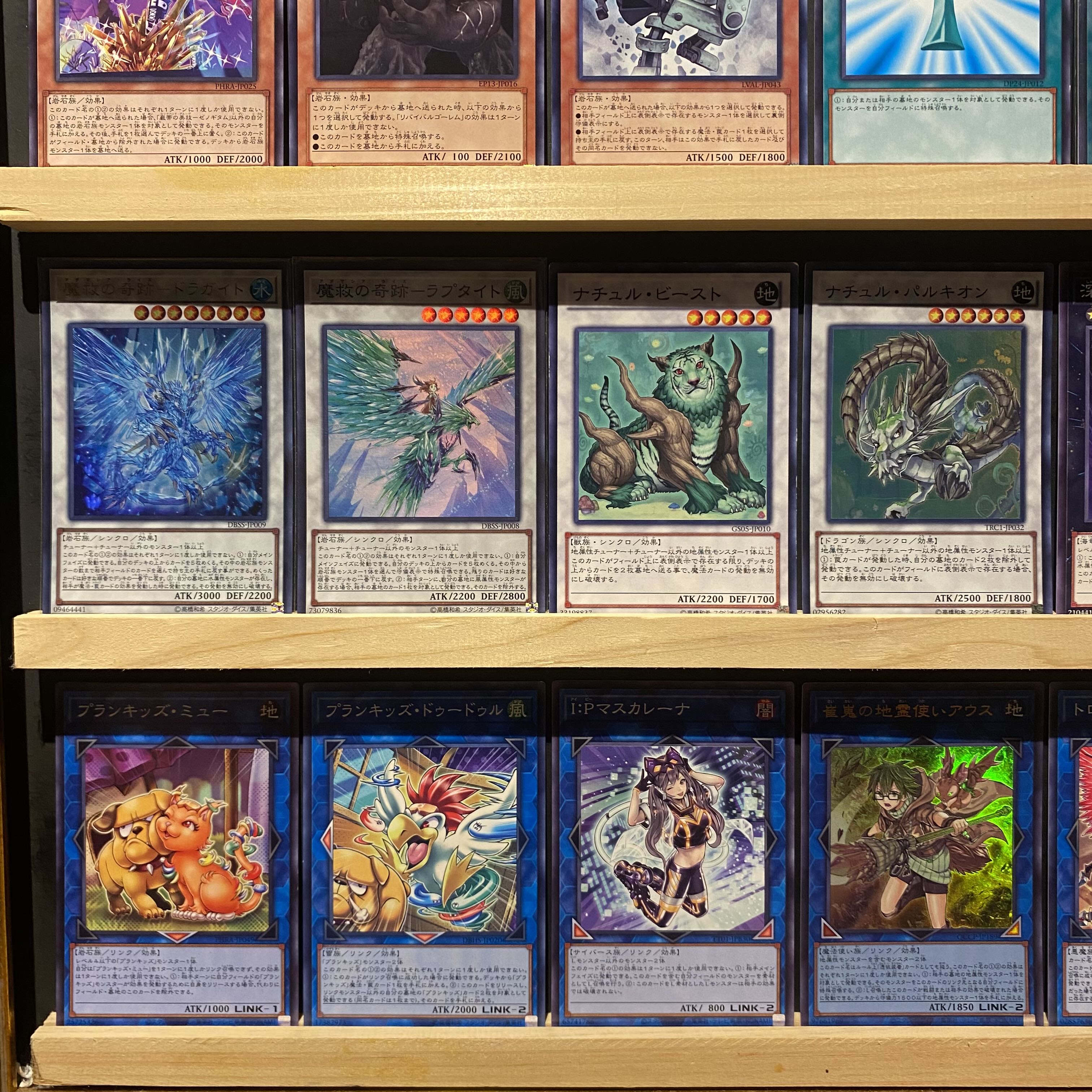 即日発送!【魔救】アダマシア デッキ 遊戯王 魔救の探索者 魔救 即日発送!【魔救】アダマシア デッキ 遊戯王 魔救の探索者 魔救