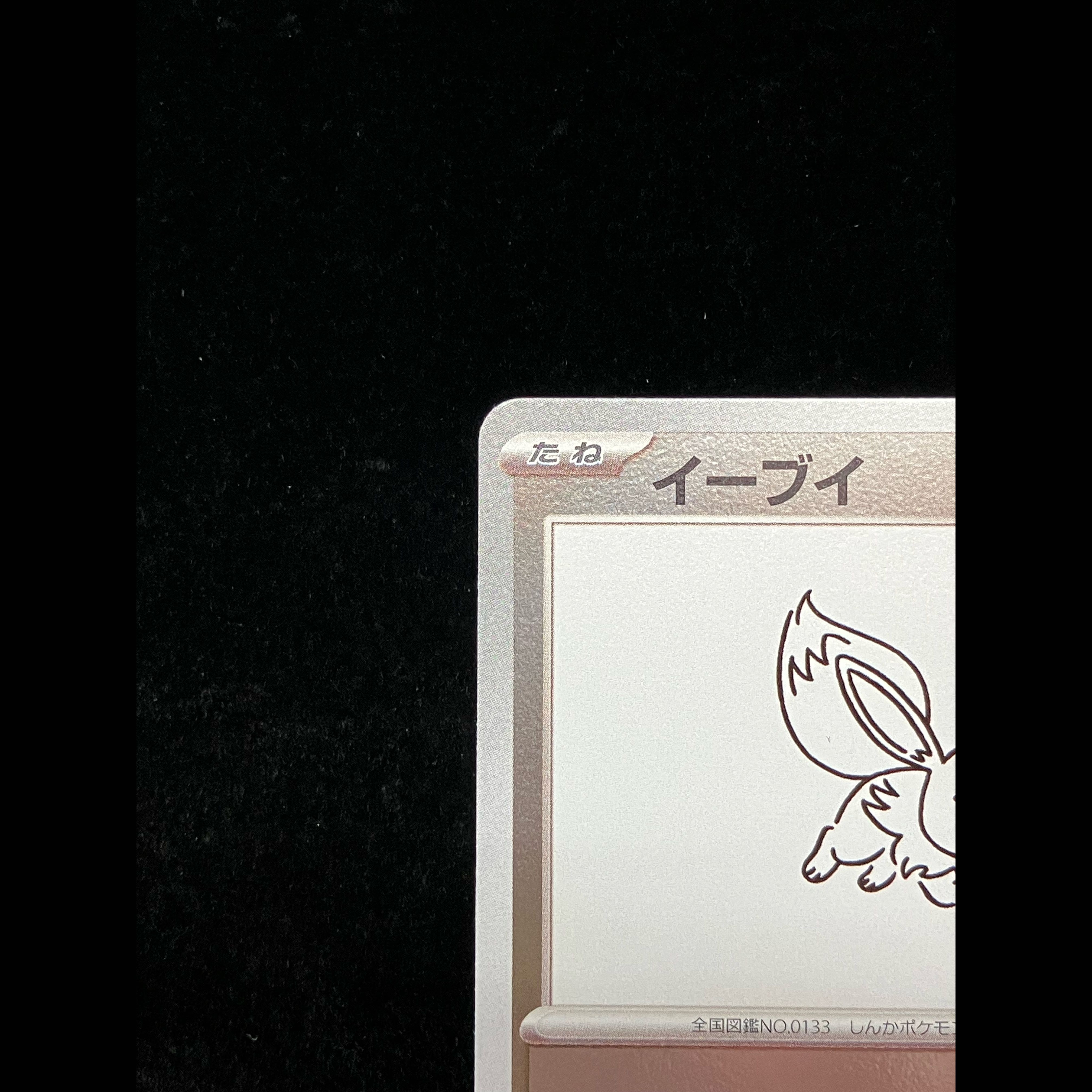 Eevee YU NAGABA Promo (Opened) PROMO 062/SV-P 1枚