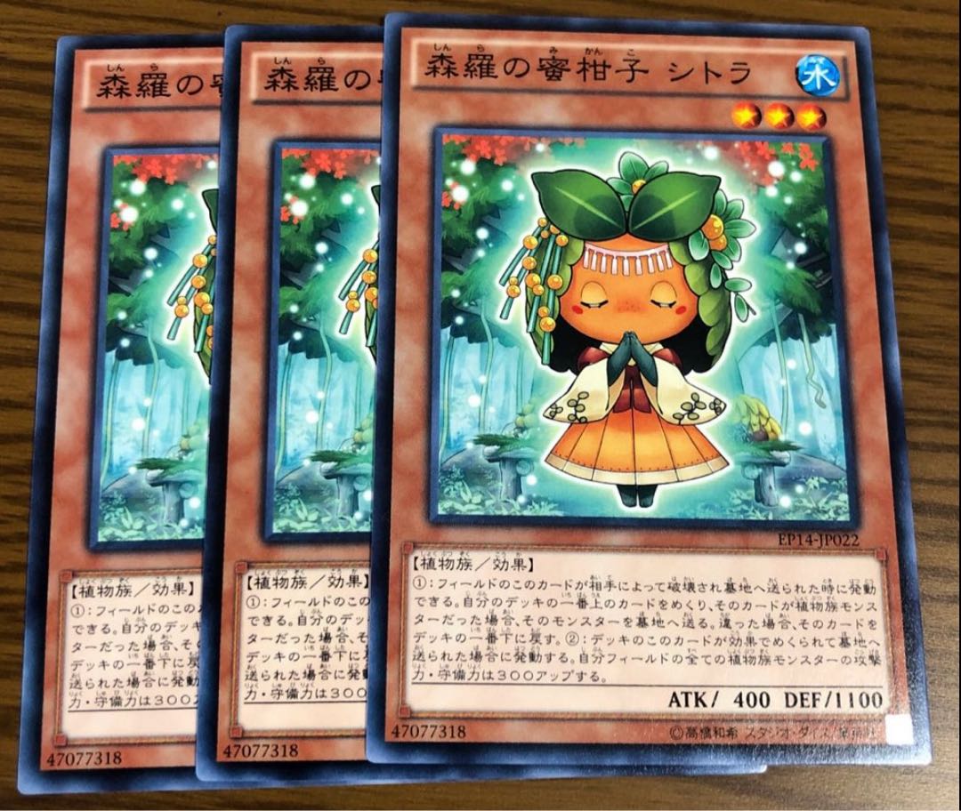 Sylvan Mikorange Set of 3 3枚