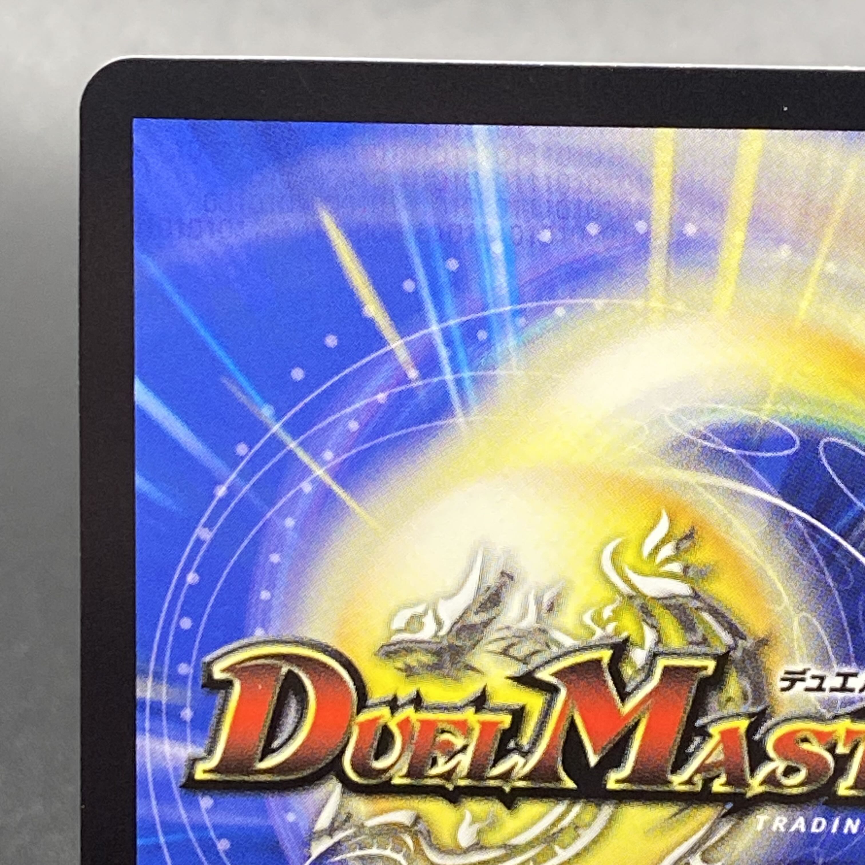 飛翔龍 5000VT VIC (秘)1b/(秘)6 1枚