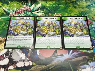 D-45 パクパク・ライフ C 77/77 3枚