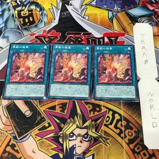 霊獣の継聖 TW01 1 ノーマル 魔法 3枚セット てら 3枚