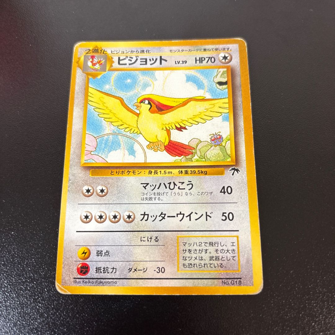 ピジョット　旧裏　サザンアイランド 1枚