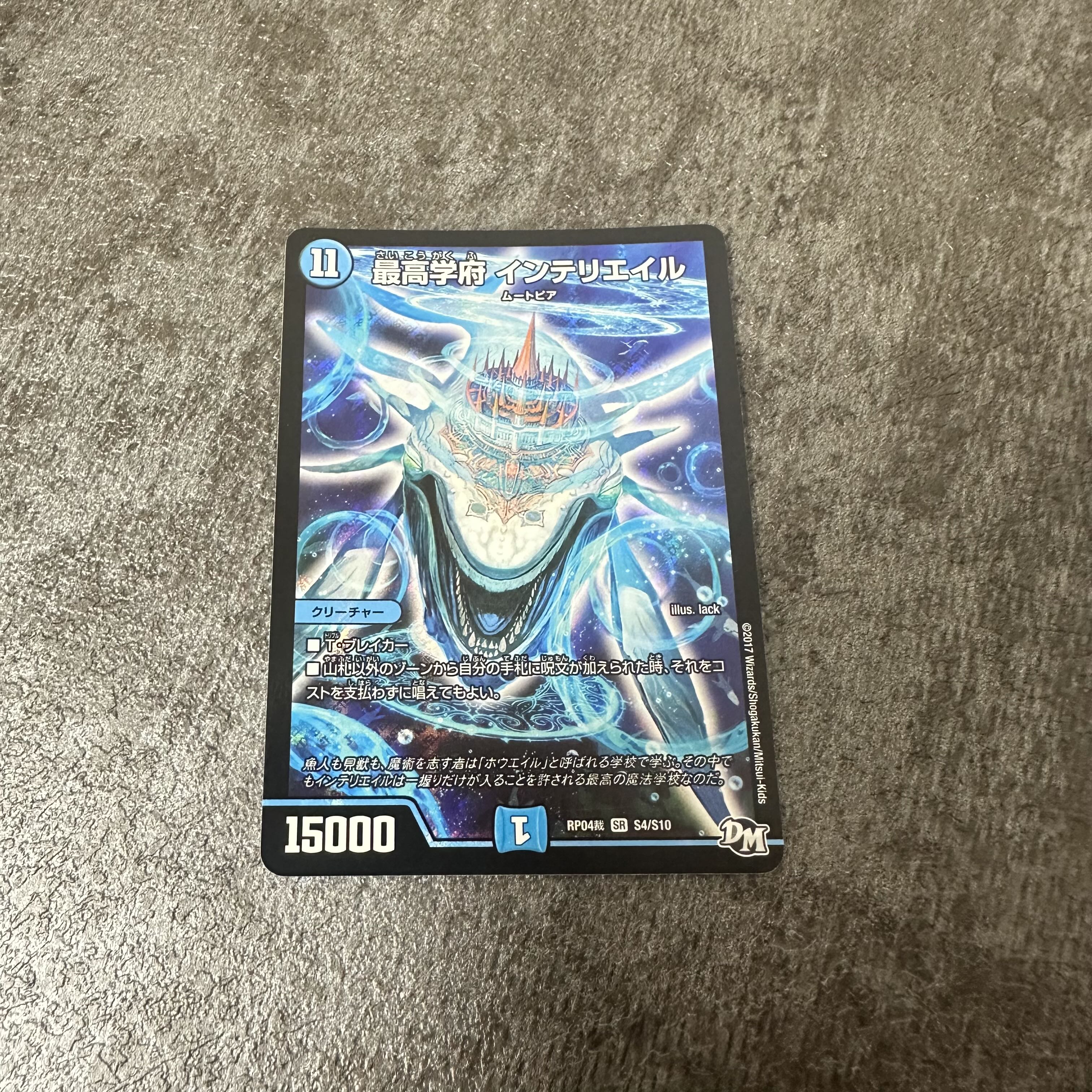 最高学府 インテリエイル SR S4/S10 1枚