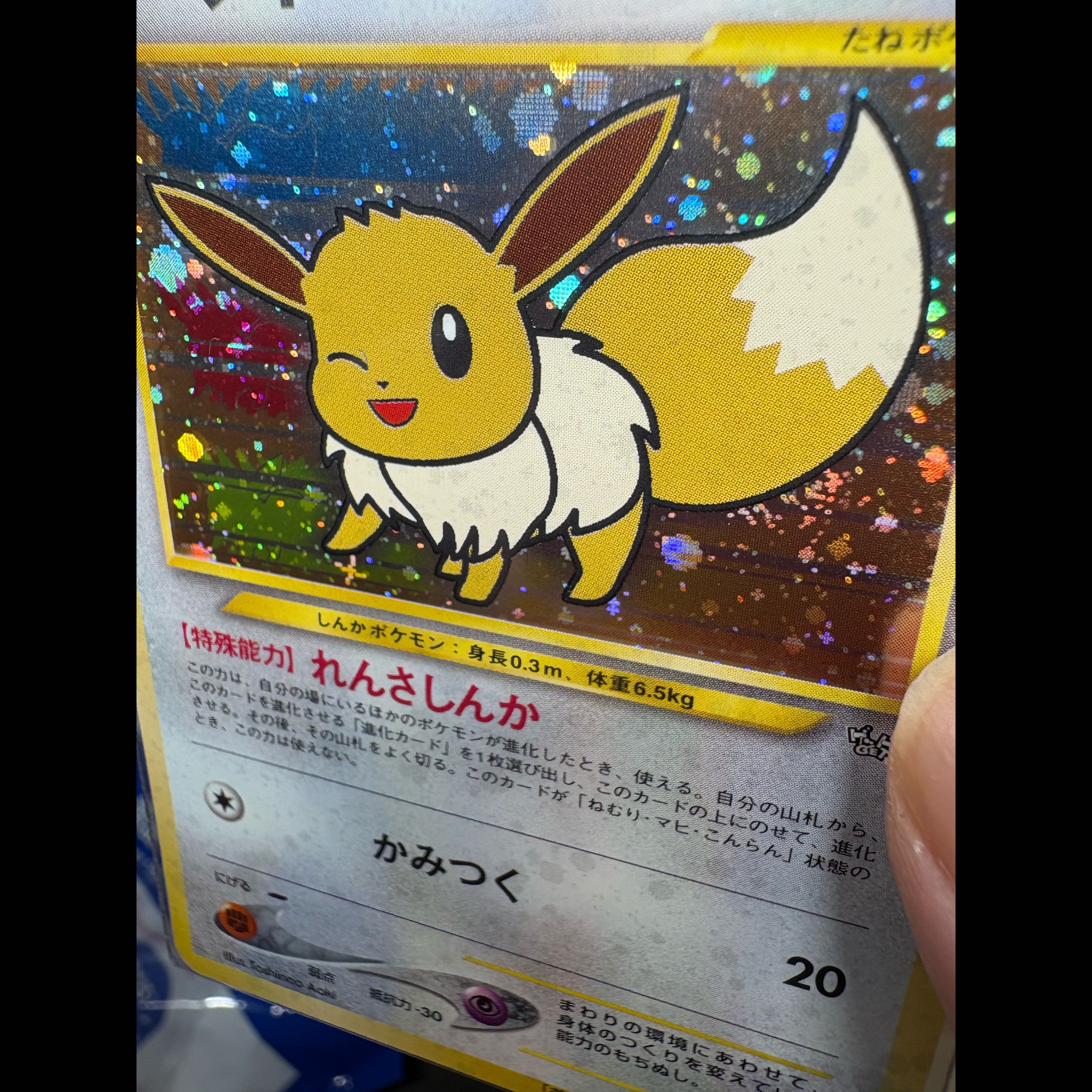 Eevee Pokémon Fan Krabby Special Edition Card (Old Back) PROMO 1枚