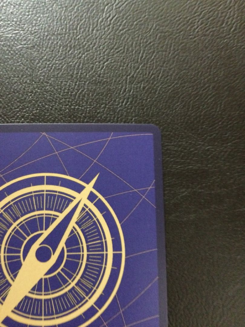 (iii) Vinsmoke Reij (parallel) P-SR OP06-069